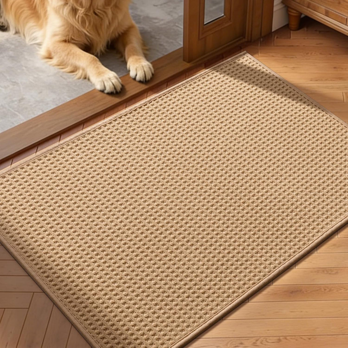 Non‑Slip Entryway Mat 24×36 Inch Washable