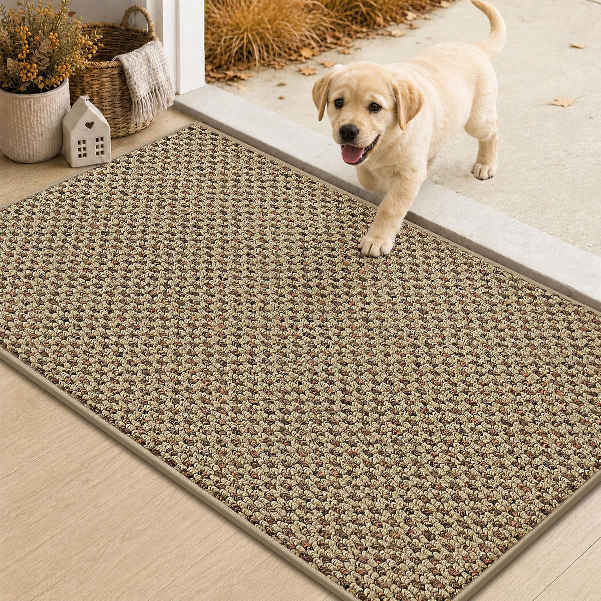 Beige Non‑Slip Entry Rug 17×30 Inch